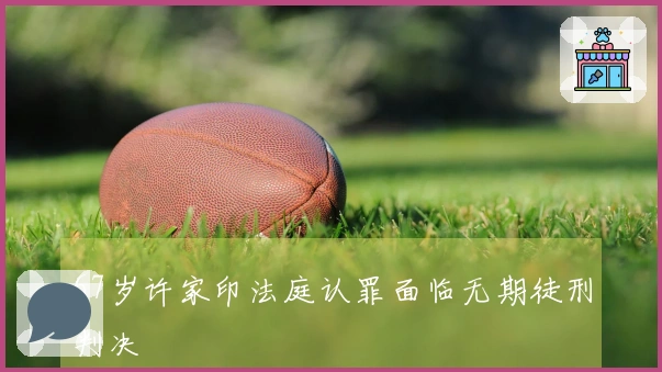 67岁许家印法庭认罪面临无期徒刑判决